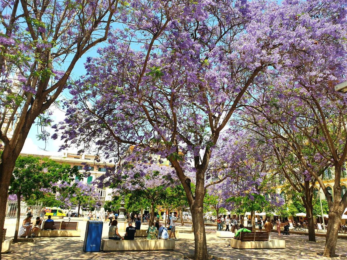Sunny Malaga Centre Flats, 2 Options, With Balcony Or Terrace Apartment Bagian luar foto